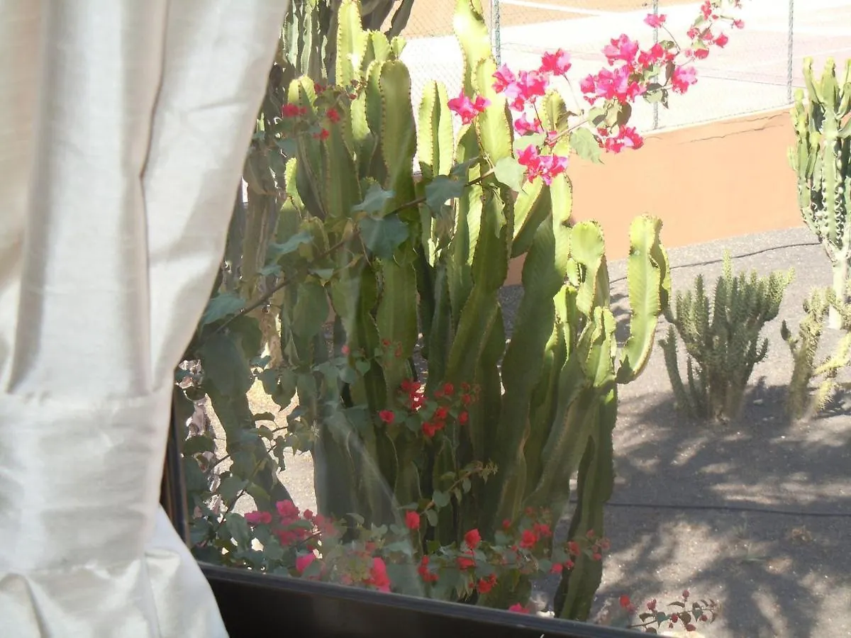 Family Apartment 1 Bedroom With Pool View - Oasis Duna Resort Corralejo 0*,
